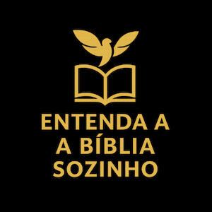 Entenda a Bíblia Sozinho